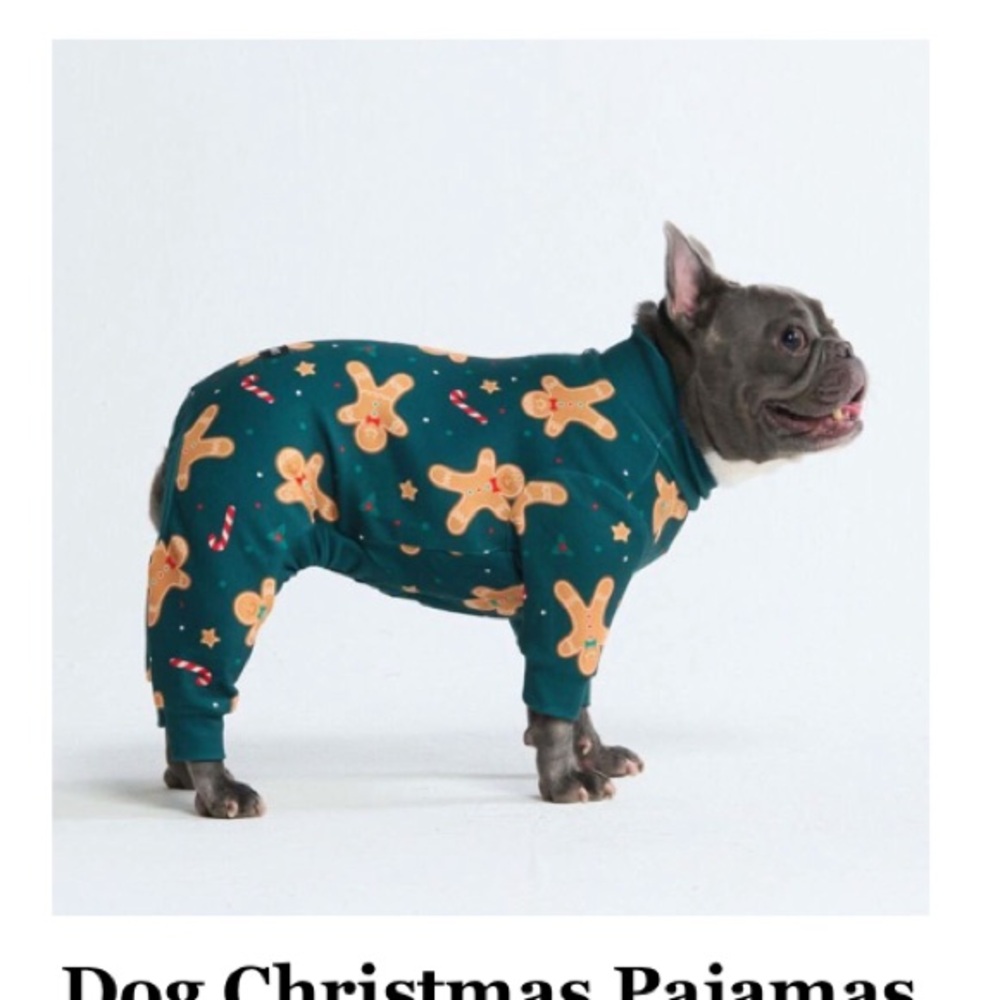 Festive Green Dog Pajamas